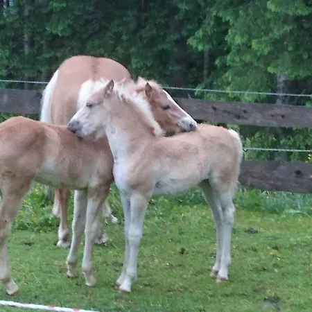 Schmalzgrubengut * Bad Hofgastein