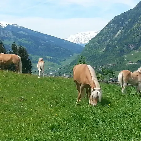 Schmalzgrubengut *