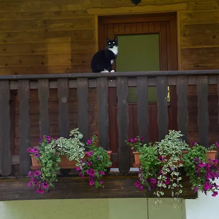 Schmalzgrubengut Bad Hofgastein