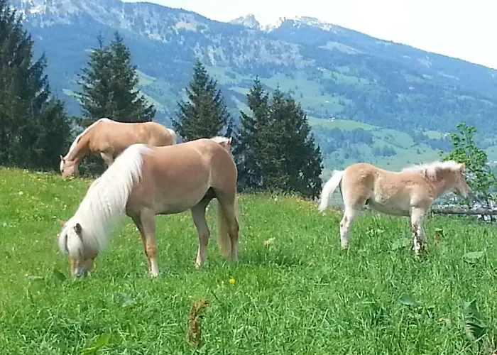 Schmalzgrubengut Apartment Bad Hofgastein